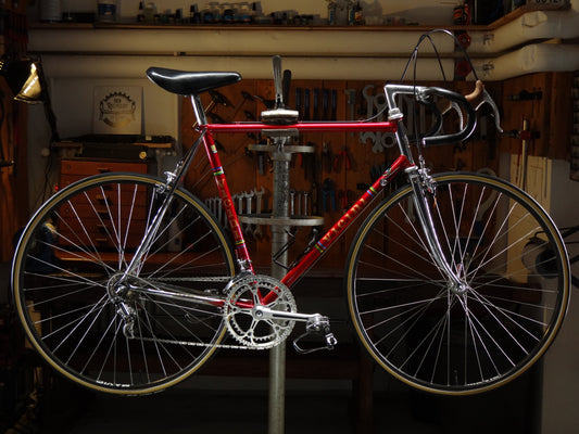 Vicini Tour de France (NOS)