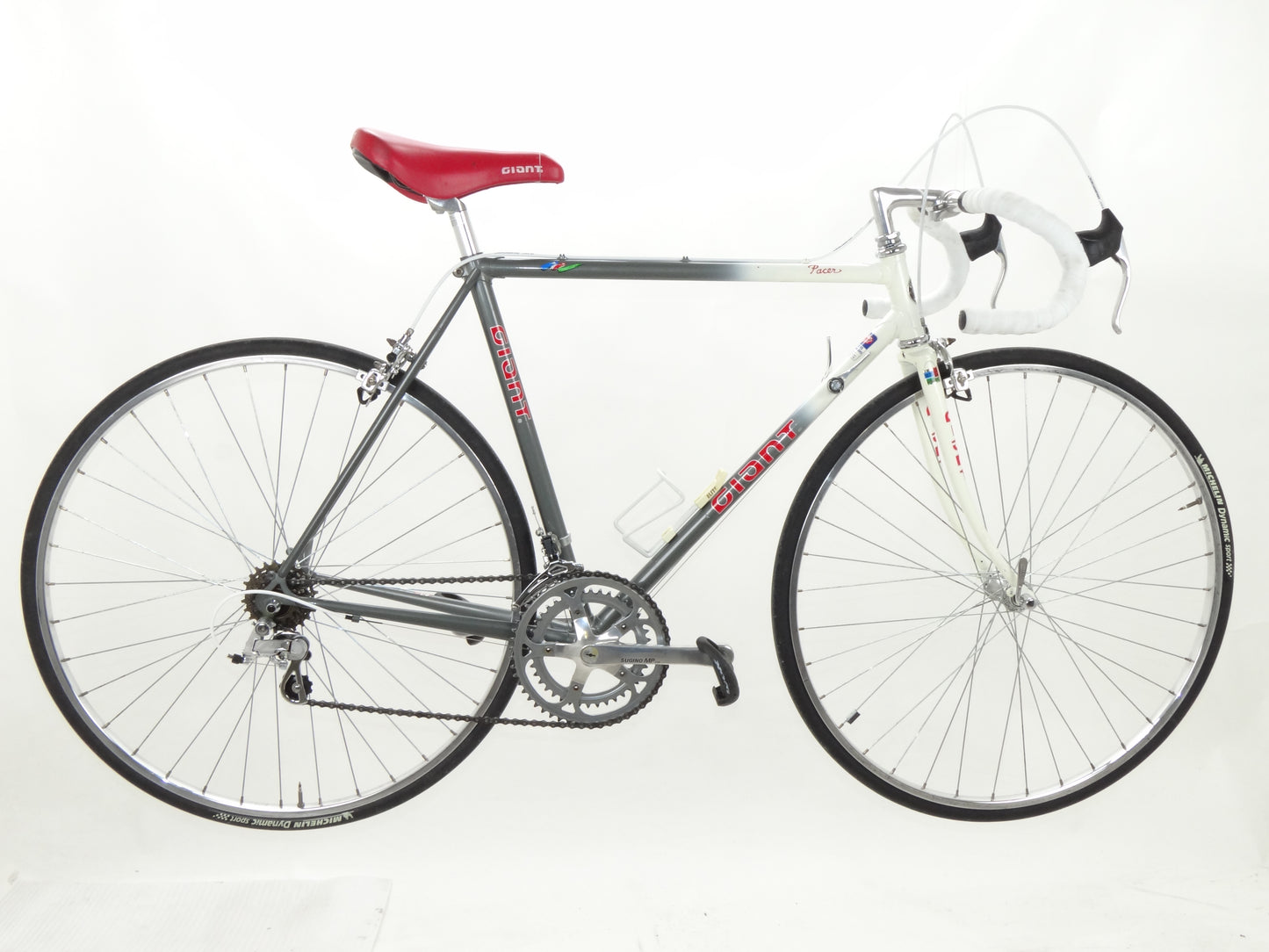 Giant Pacer – Der ReCyclist