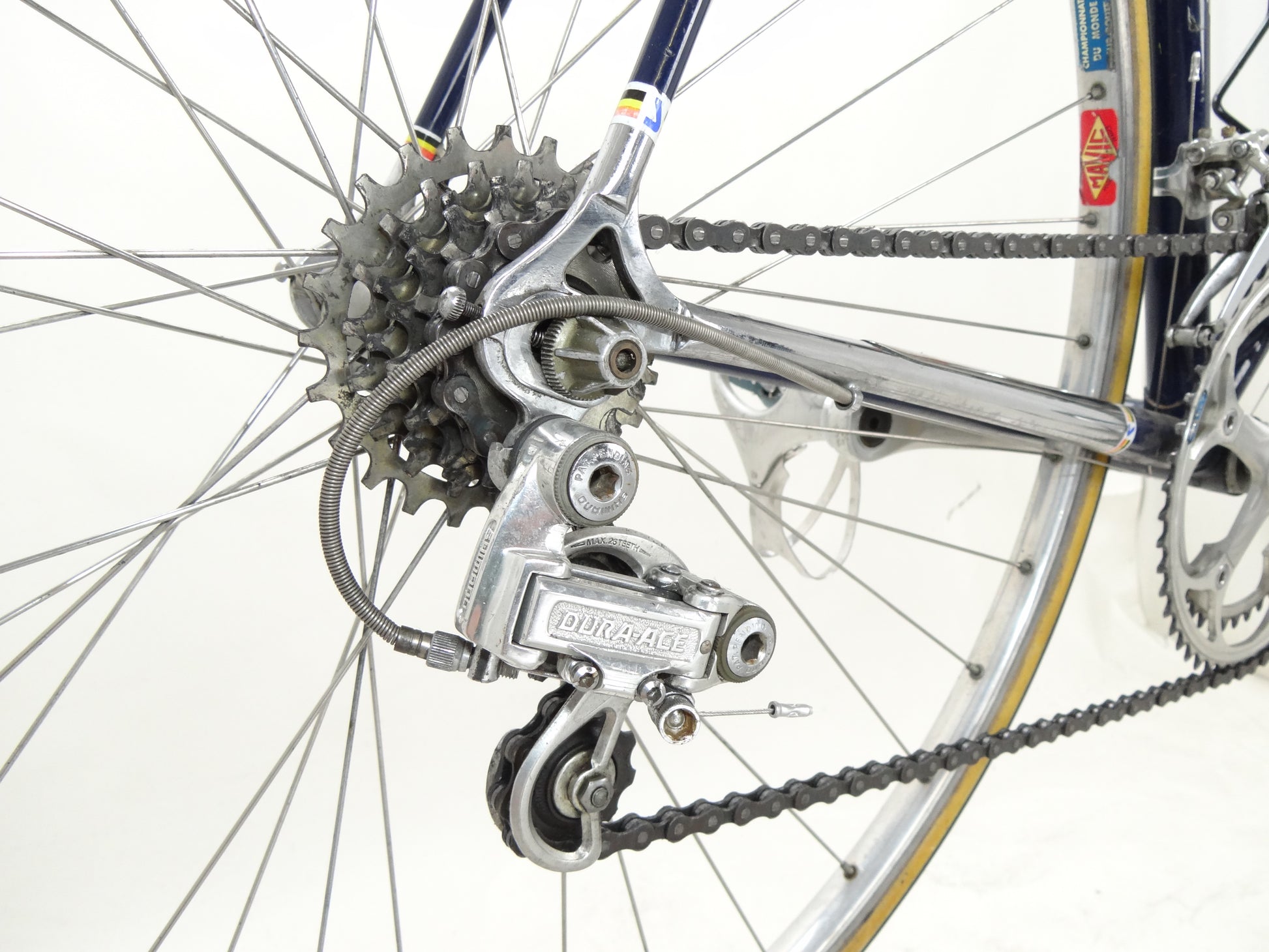 superia rennrad Superia Gemini Super Star – Der ReCyclist