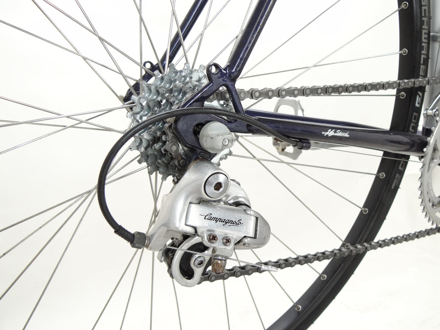 Gazelle Vuelta