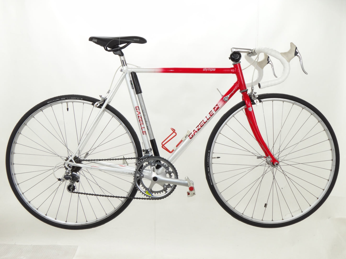 Gazelle Olympia