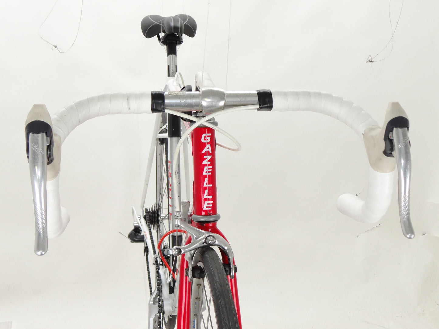 Gazelle Olympia