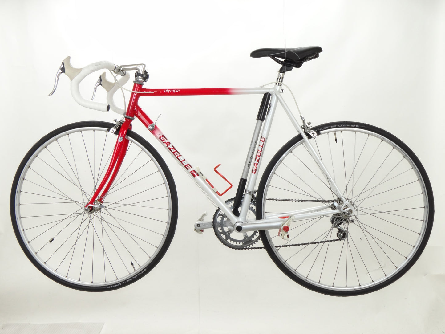 Gazelle Olympia