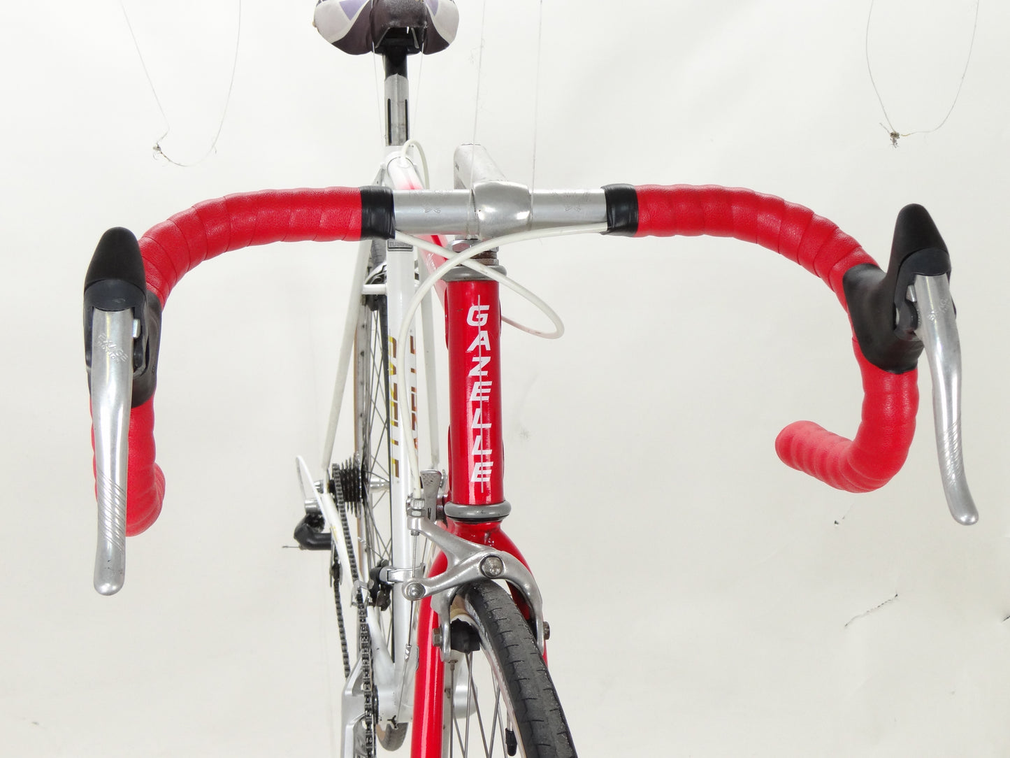 Gazelle Olympia
