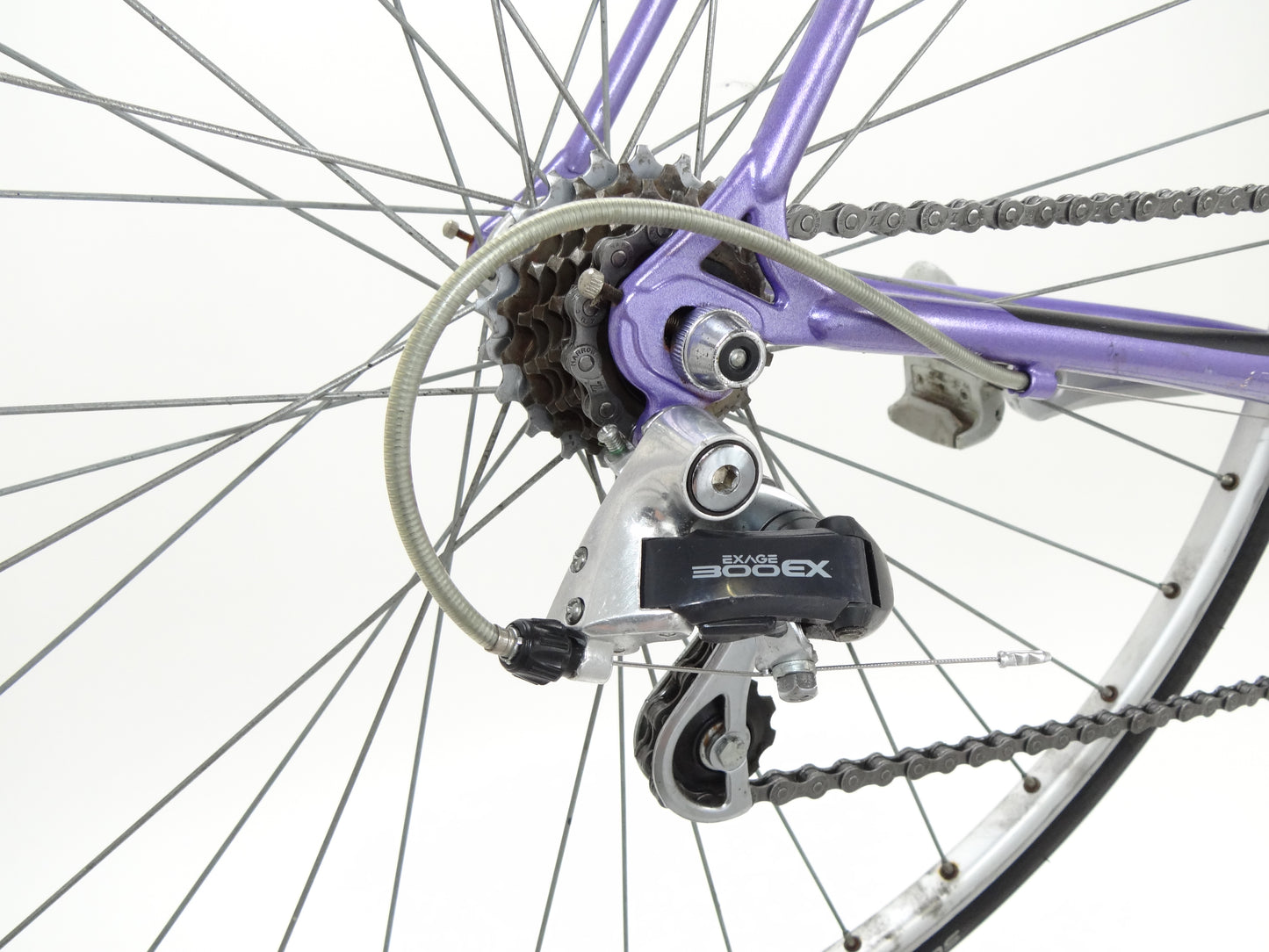 Batavus Challenge