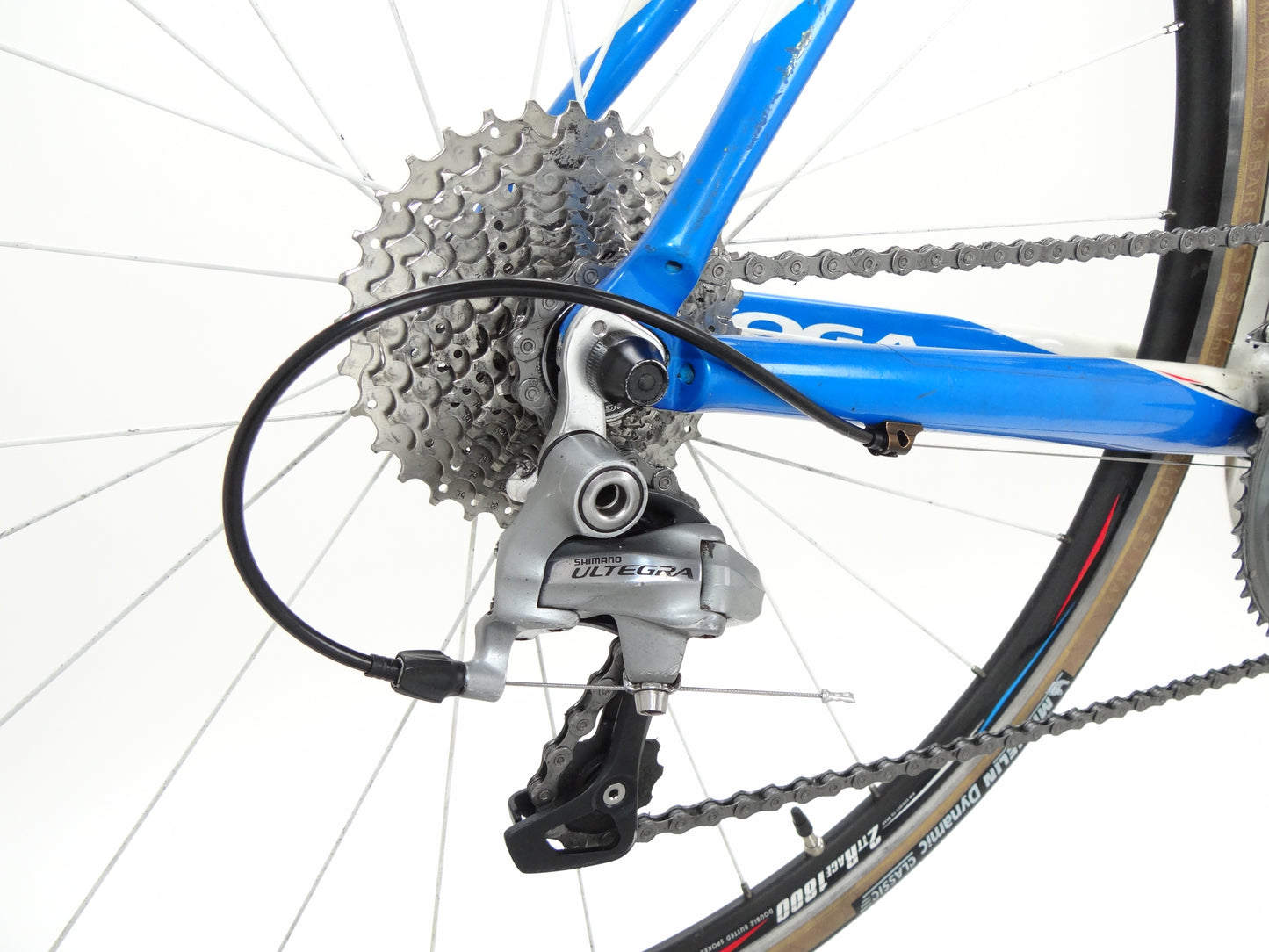 Koga CarbonTeamEdition