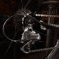 Colnago C40 World Champion Sonderedition