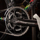 Colnago C40 World Champion Sonderedition