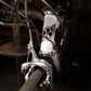 Colnago C40 World Champion Sonderedition