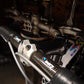 Colnago C40 World Champion Sonderedition