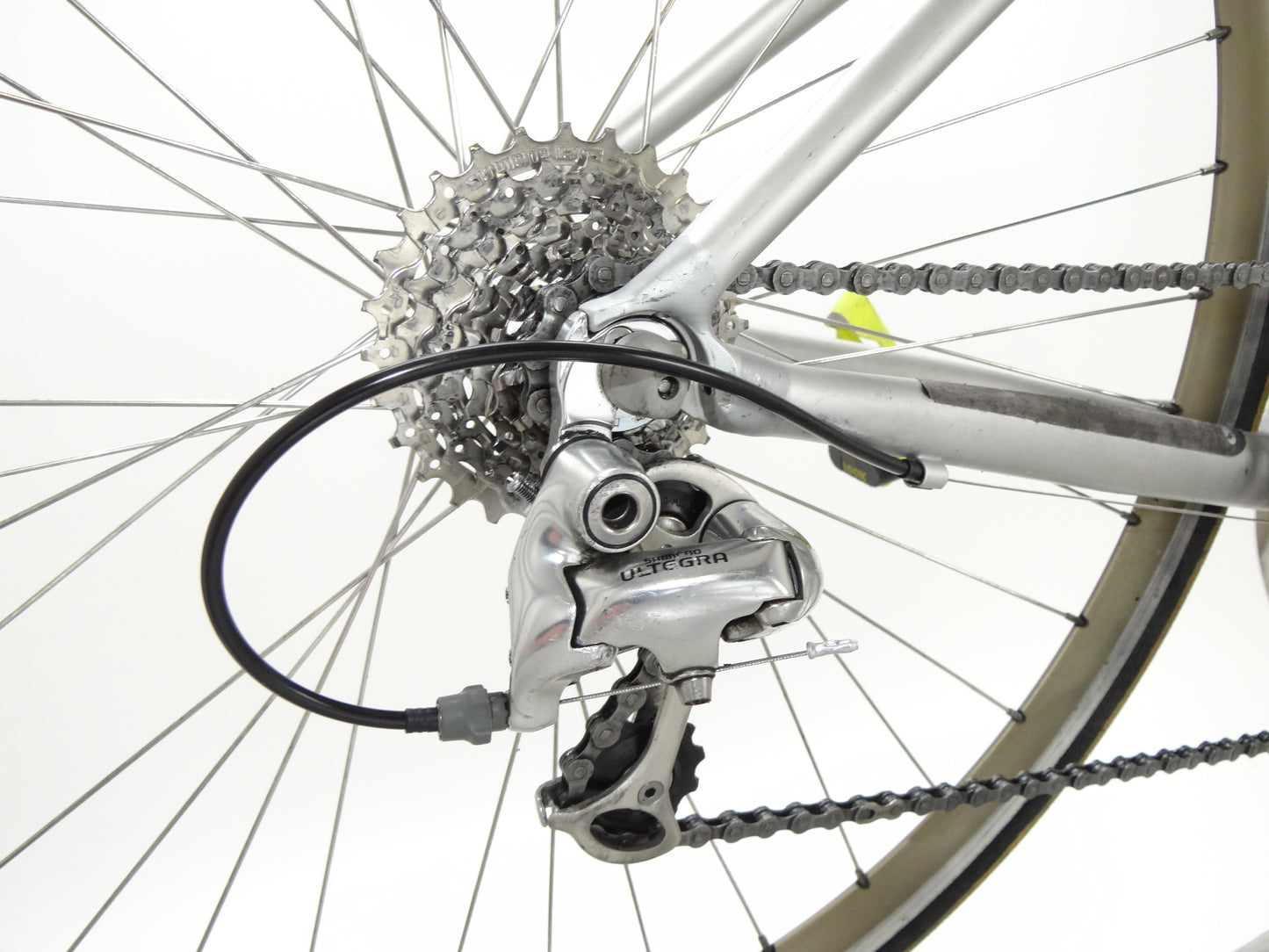 Giant TCR