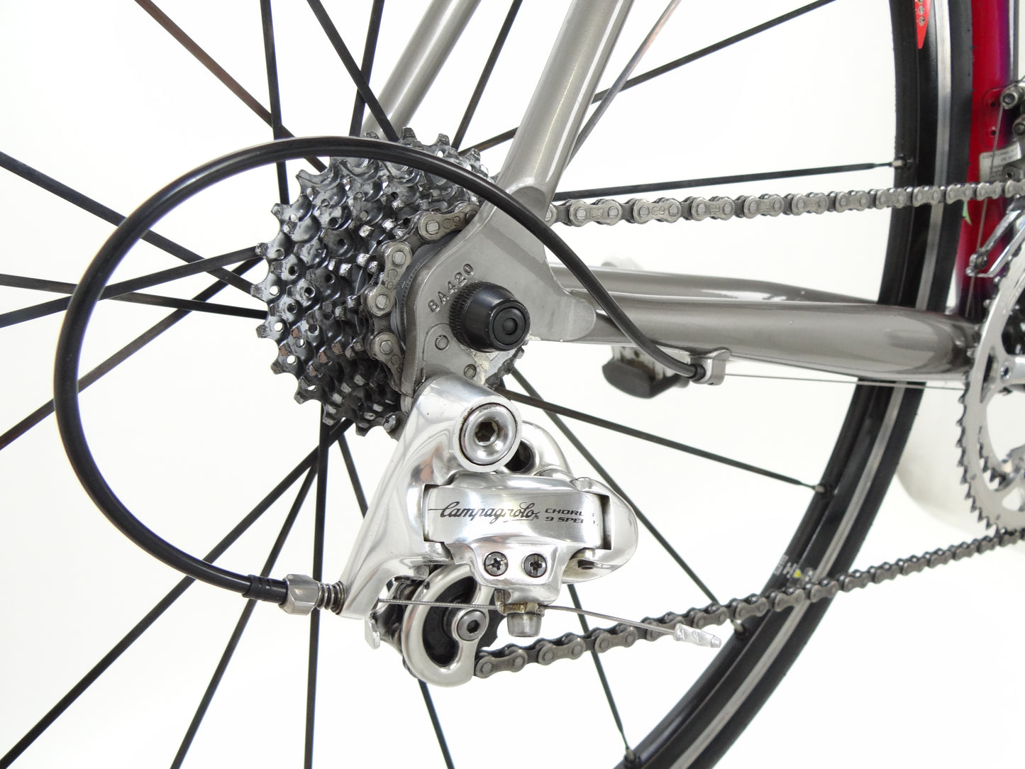 Colnago Dream Art Decor
