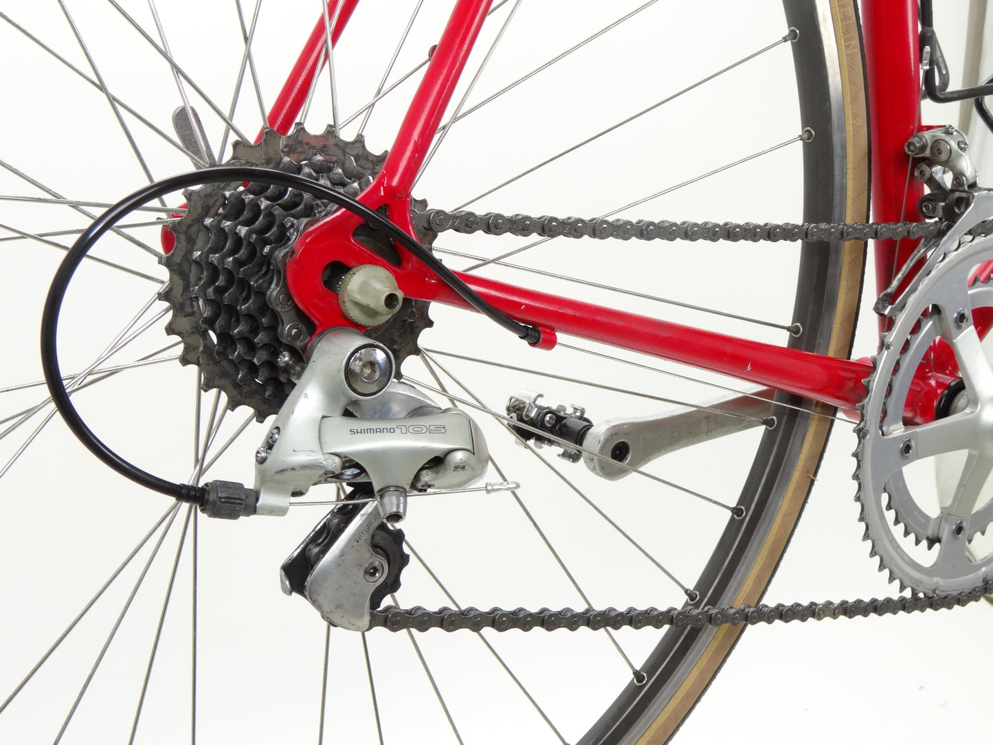 Gazelle Champion Mondial