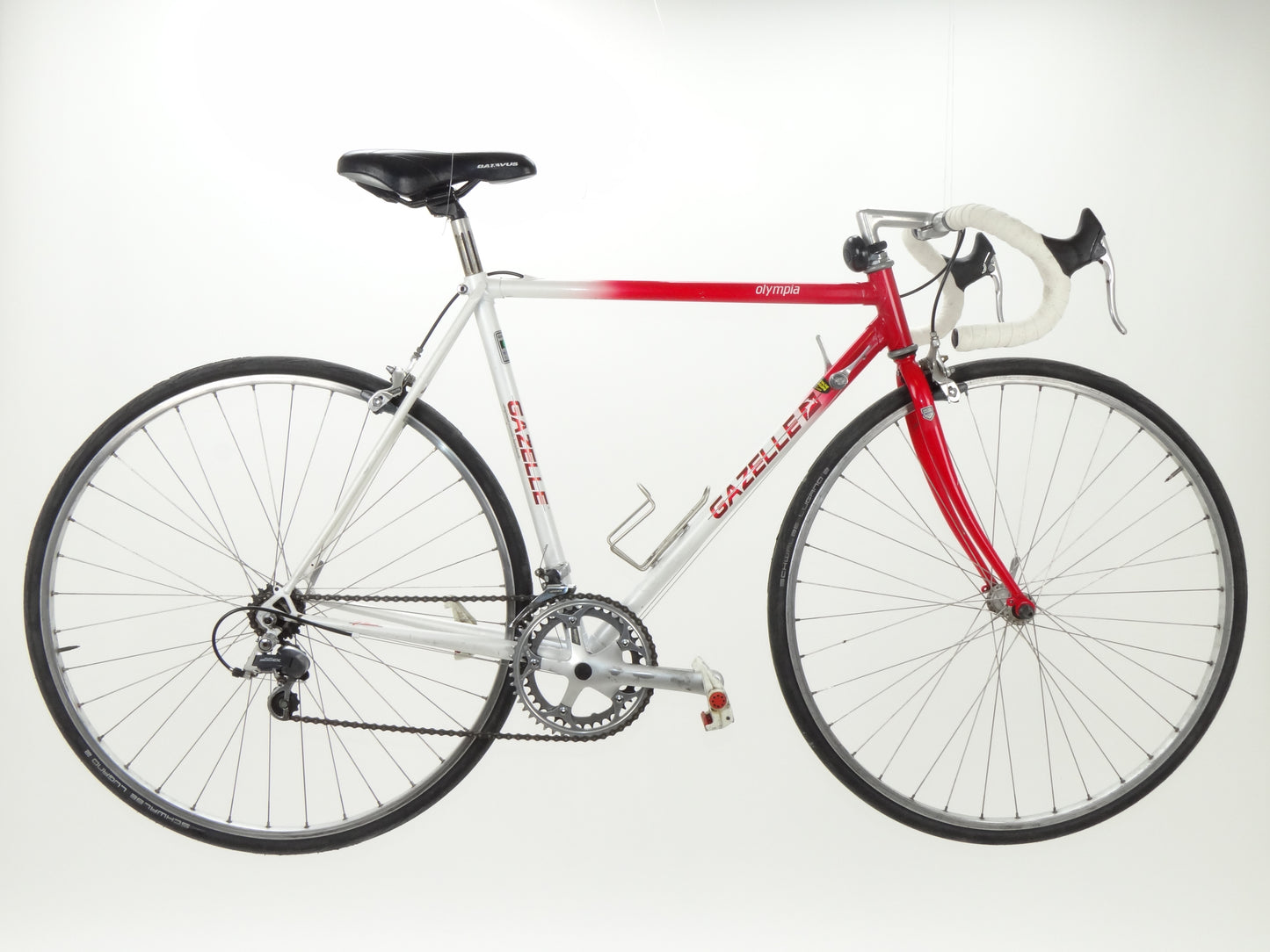 Gazelle Olympia