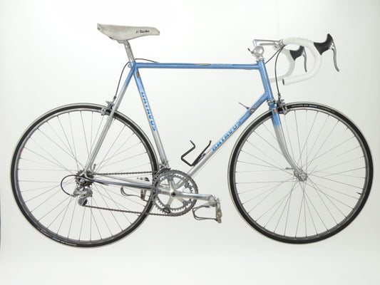 Batavus Professional