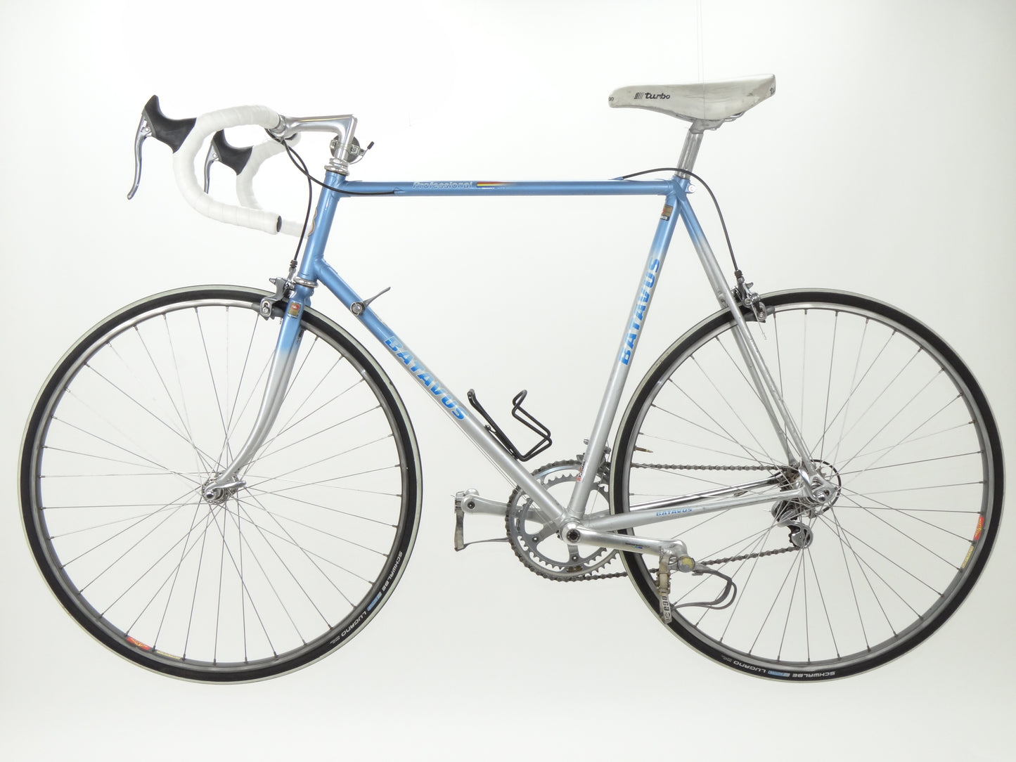 Batavus Professional