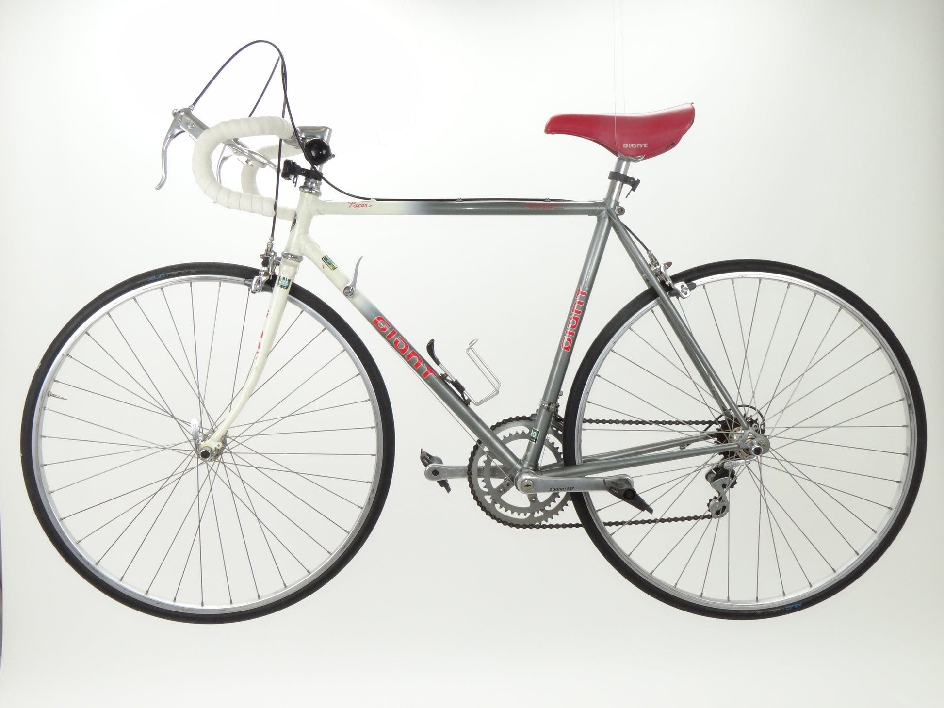 Giant Pacer
