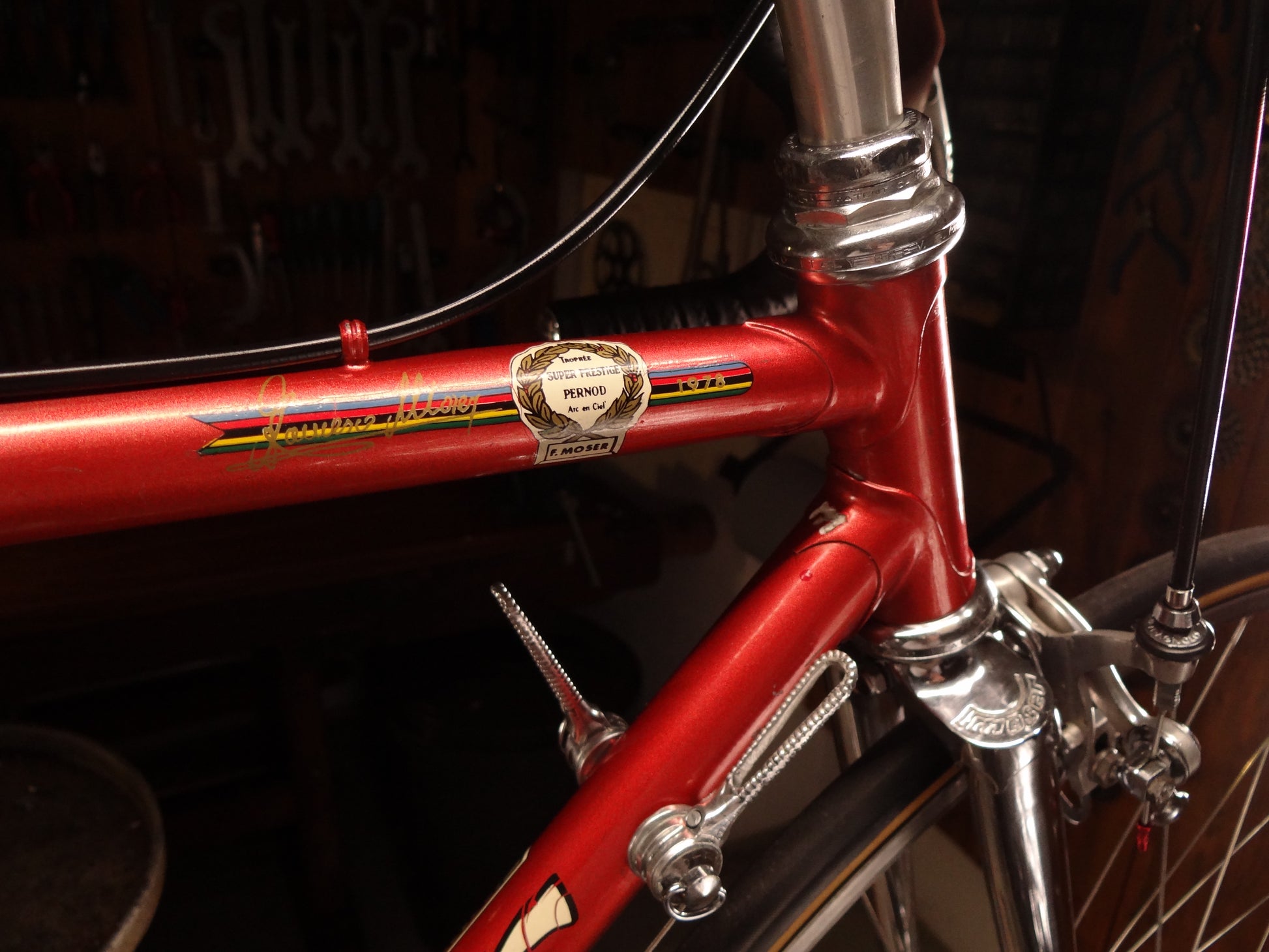 Francesco Moser – Der ReCyclist