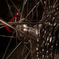 Tommasini Diamante