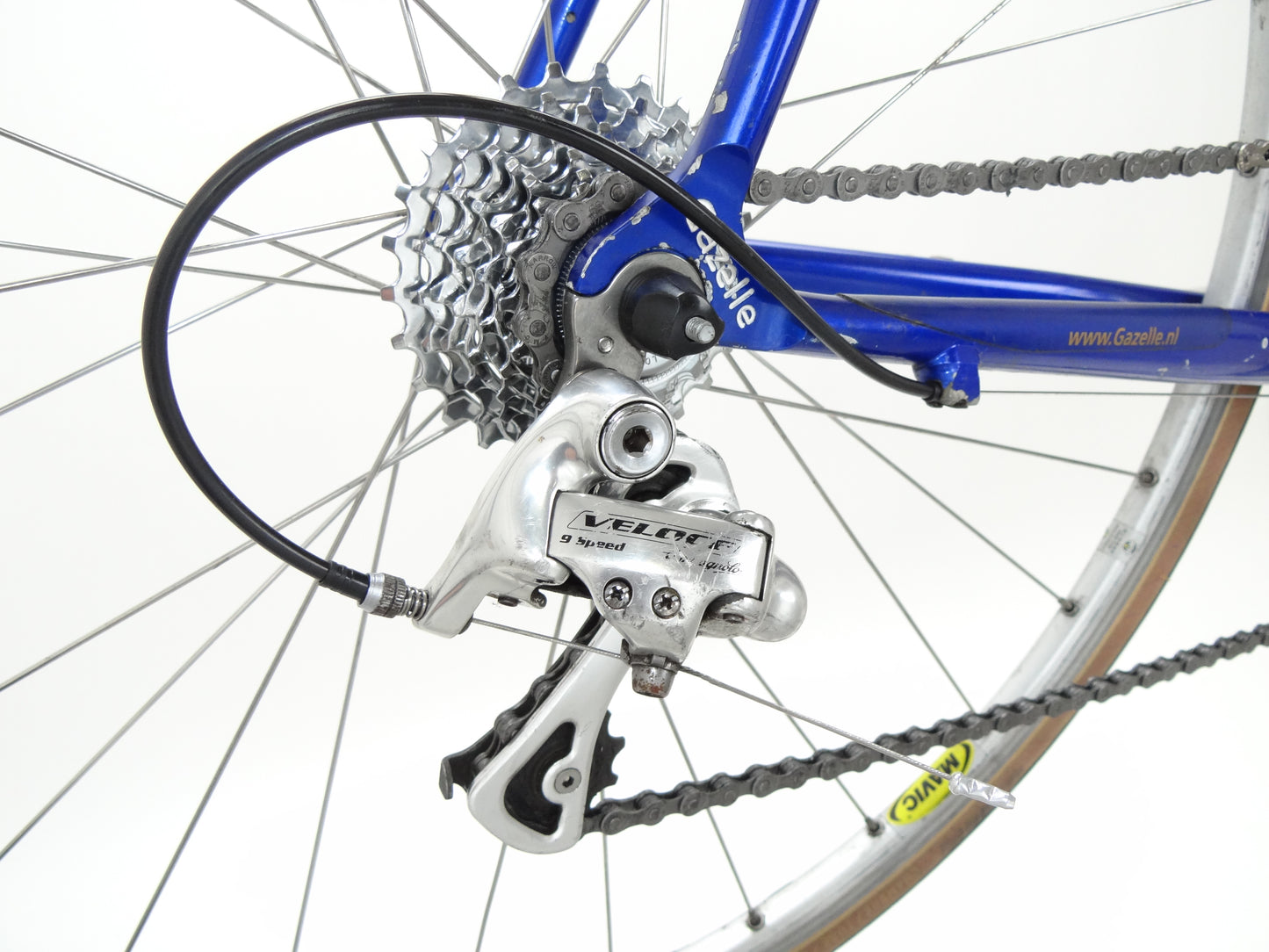 Gazelle Squadra