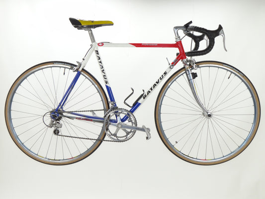 Batavus Professional