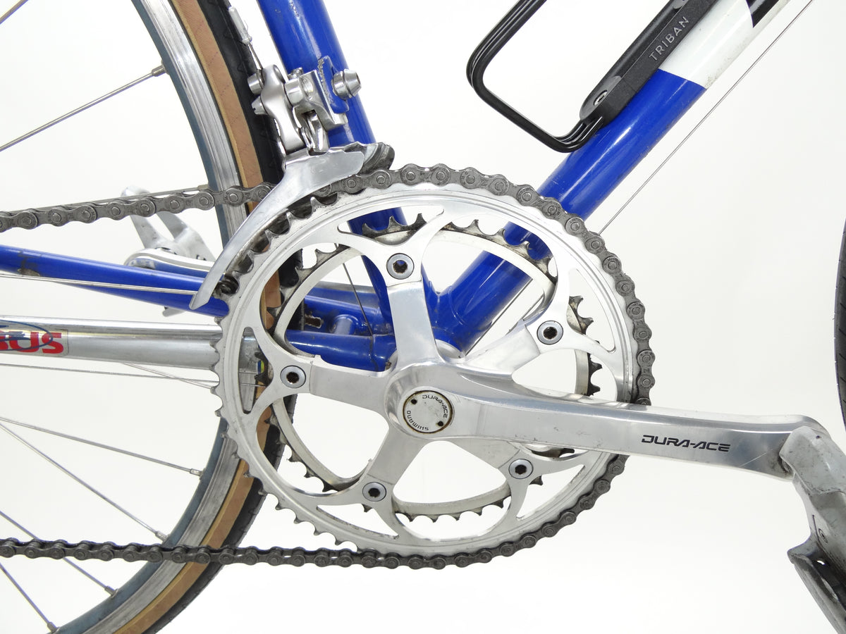 Batavus Professional
