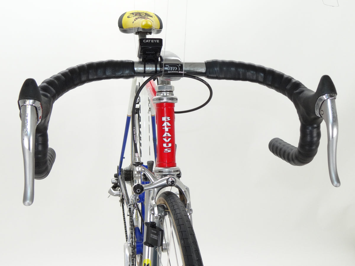 Batavus Professional