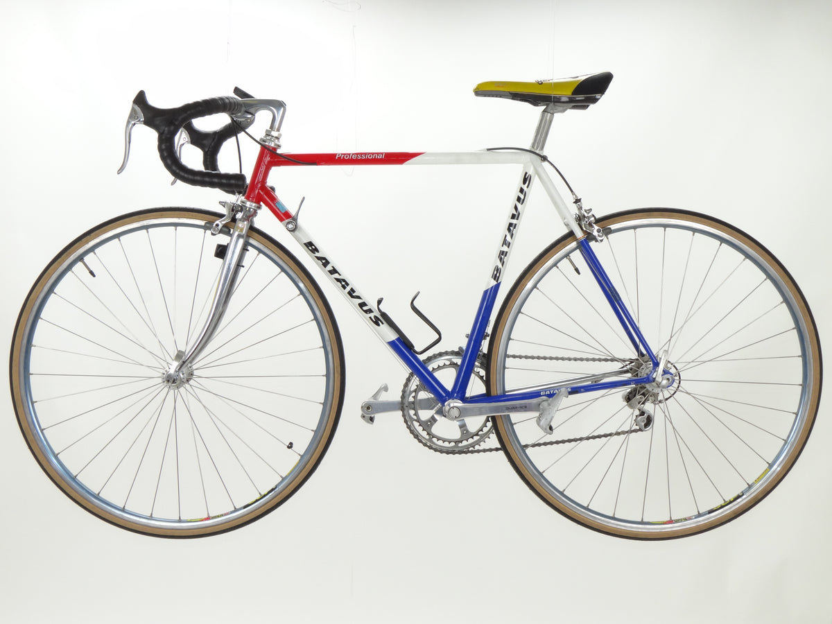 Batavus Professional