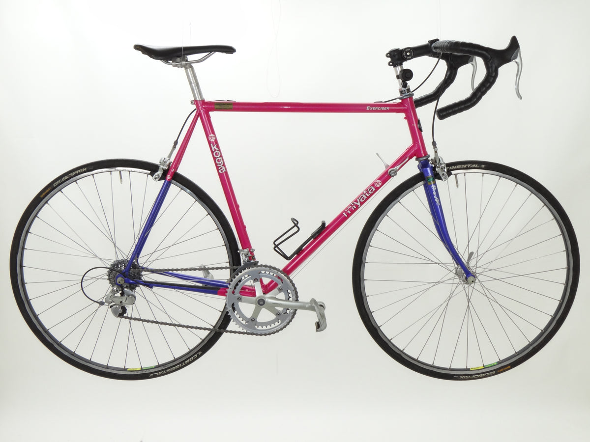 Koga Miyata Exerciser