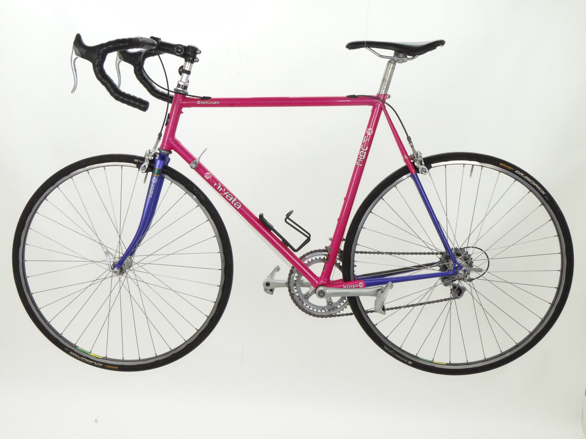 Koga Miyata Exerciser
