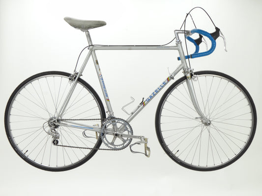 Gazelle Champion Mondial